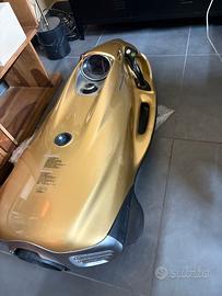 Riparazione Cayago Seabob F5