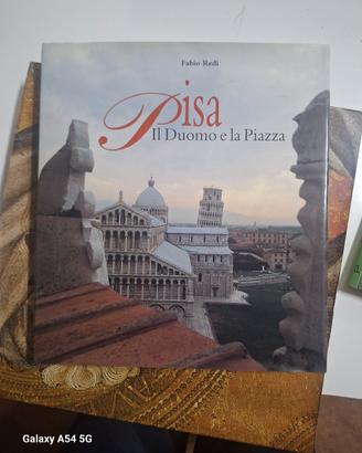 libro Pisa e il Duomo e libro i pittori senesi