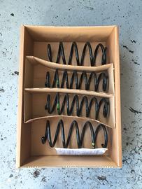 Molle ribassate Ford Fiesta