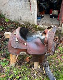 Sella billy cook