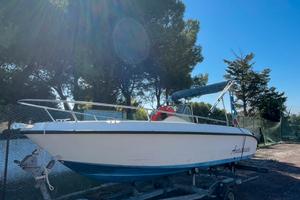 Barca motore fuori bordo