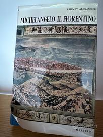 Michelangelo il fiorentino