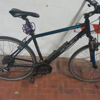 Bici elettrica