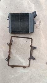 Radiatore Gilera RX Arizona 