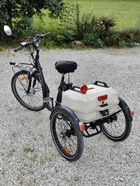 Triciclo elettrico - Triplex