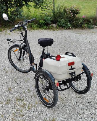 Triciclo elettrico - Triplex