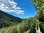 Immagine 29