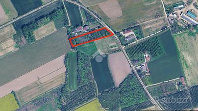 TER. AGRICOLO A MORSANO AL TAGLIAMENTO