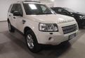 LAND ROVER Freelander 2.2 Td4 150CV SE 2009