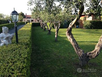 Meravigliosa villa al Feudo di Capaccio