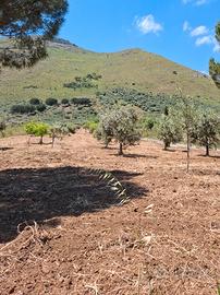 Misilmeri Terreno agricolo