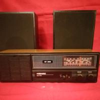 radio IRRADIO RF308-AM/FM
