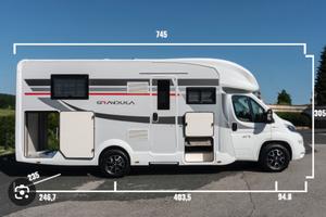 Roller team Granduca 298 TL