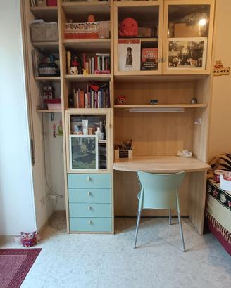 libreria con scrivania + alveare  betulla