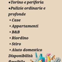 DISPONIBILE PER LAVORI A ORE 