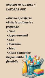 DISPONIBILE PER LAVORI A ORE 