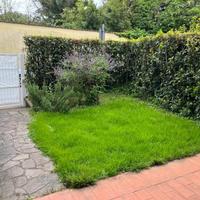 A 200 metri dal mare