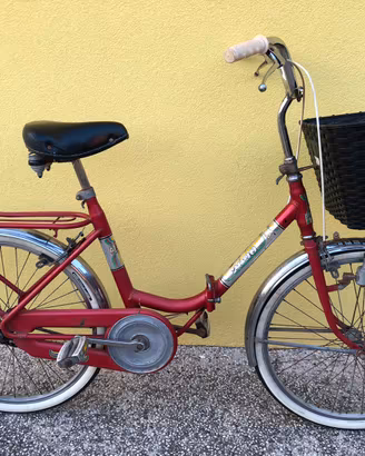 Bicicletta pieghevole