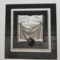 Stampa numerata 26 di 40 di Luigi Sandroni