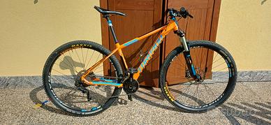 Torpado Nearco 29" taglia M
