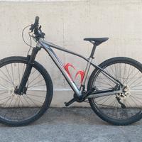 Mountain bike Specialized Rockhopper Pro 29