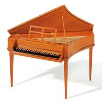 TOP SPINETTA TRAVESRA