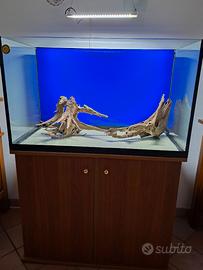Acquario e accessori
