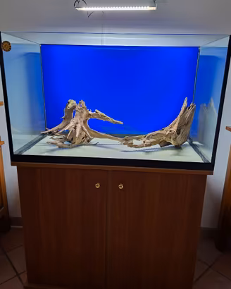 Acquario e accessori