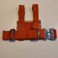 Cintura di sicurezza baby