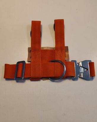 Cintura di sicurezza baby