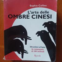 L'arte delle ombre cinesi
