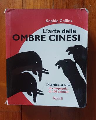 L'arte delle ombre cinesi