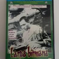 L'arpa birmana - dvd
