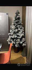 Albero di natale