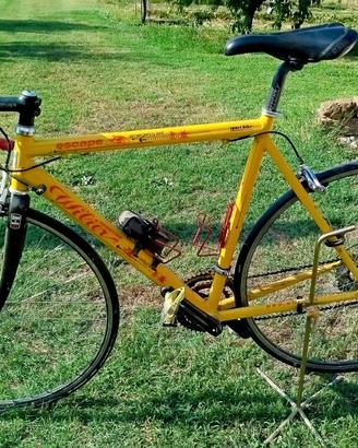 bicicletta corsa Wilier