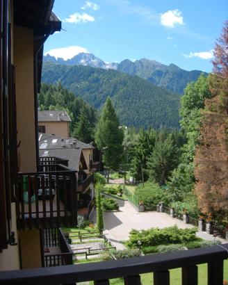 Bilocale nelle ALPI con bosco e campi sportivi