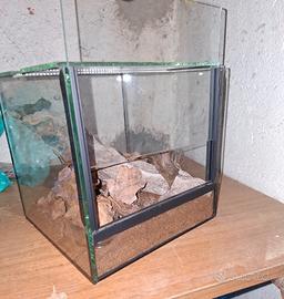 terrario 25x25x25