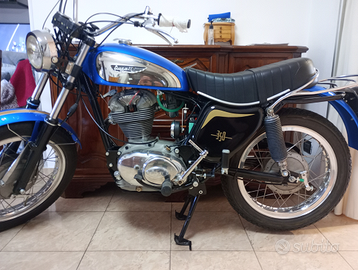 Ducati scrambler 350