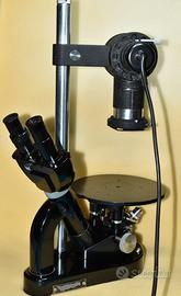 Microscopio invertito per chimica Leitz Wetzlar