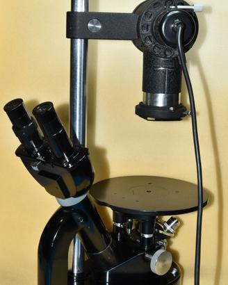 Microscopio invertito per chimica Leitz Wetzlar