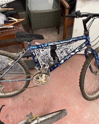 Bici 24 Blu