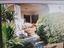 Immagine 15