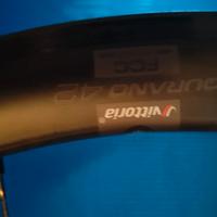 Cerchio Vittoria in grafene