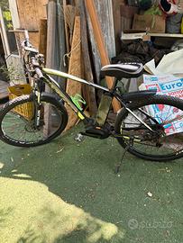 Bici elettrica