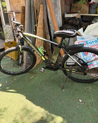 Bici elettrica