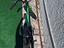 Immagine 3