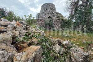 Terreno Agricolo Presicce-Acquarica [45sp76VRG]