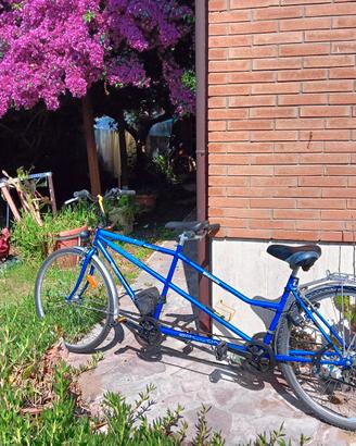 Tandem Bianchi doppio cambio