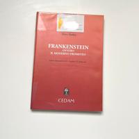 Mary Shelley - Frankenstein ovvero il moderno