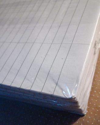 risma fogli protocollo a righe